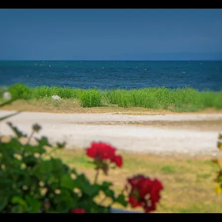 Sea La Vie
