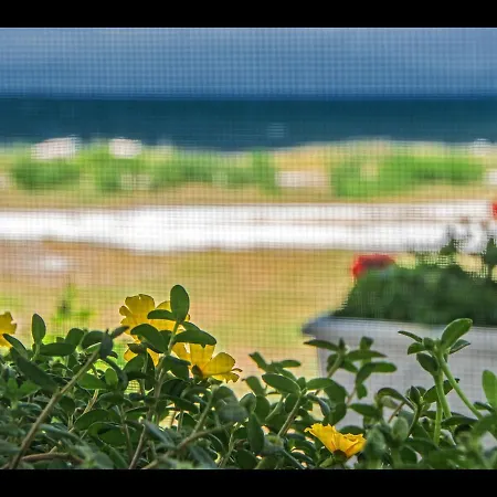 Sea La Vie Case de vacanță
