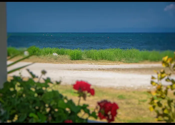 Sea La Vie
